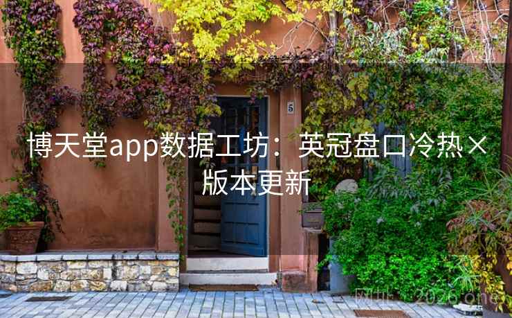 博天堂app数据工坊:英冠盘口冷热×版本更新 第1张 博天堂app数据工坊:英冠盘口冷热×版本更新 第1张