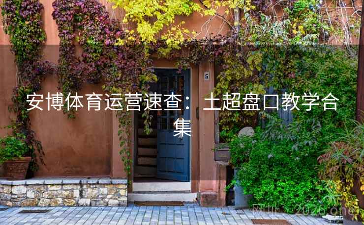 安博体育运营速查:土超盘口教学合集 第2张 安博体育运营速查:土超盘口教学合集 第2张