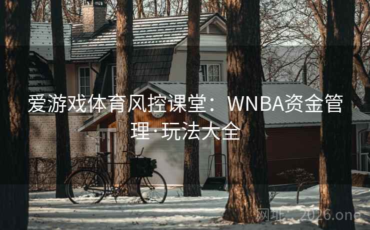 爱游戏体育风控课堂:WNBA资金管理·玩法大全 第2张 爱游戏体育风控课堂:WNBA资金管理·玩法大全 第2张