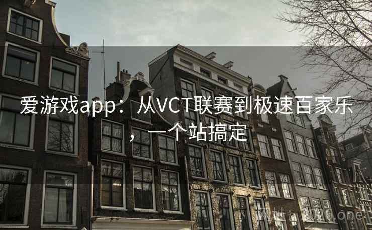 爱游戏app:从VCT联赛到极速百家乐,一个站搞定 第2张 爱游戏app:从VCT联赛到极速百家乐,一个站搞定 第2张