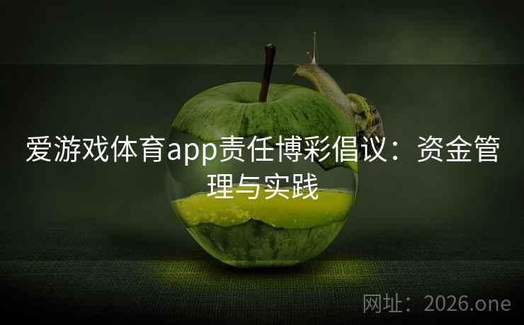 爱游戏体育app责任博彩倡议：资金管理与实践